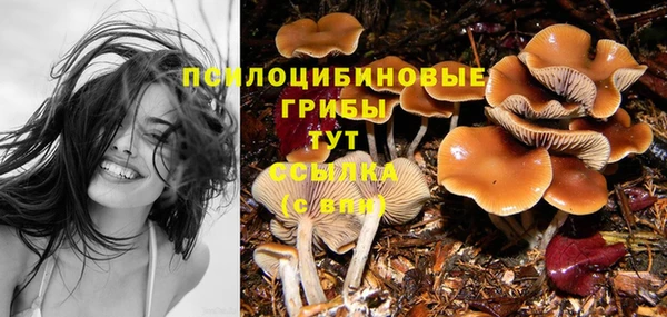 спиды Ладушкин