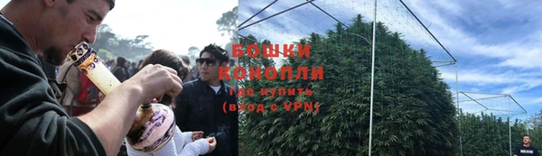 спиды Ладушкин