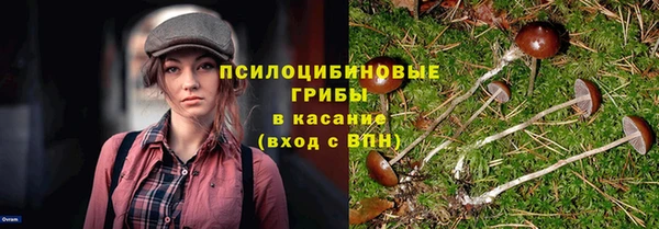 спиды Ладушкин