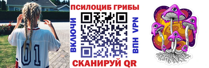 Купить закладки  Межгорье  Галлюциногенные грибы Psilocybine cubensis 